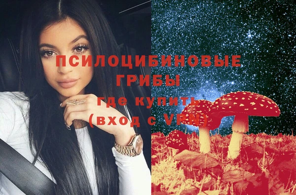 спиды Алексеевка