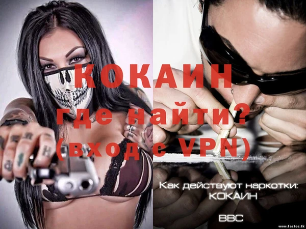 стафф Алексин