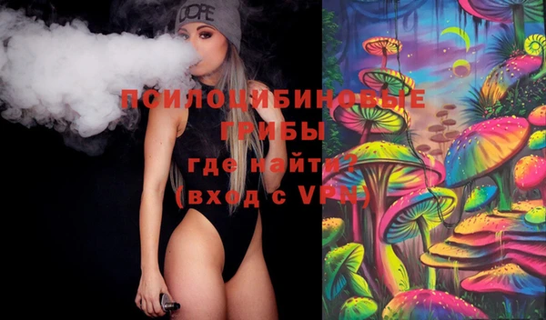 стафф Алексин