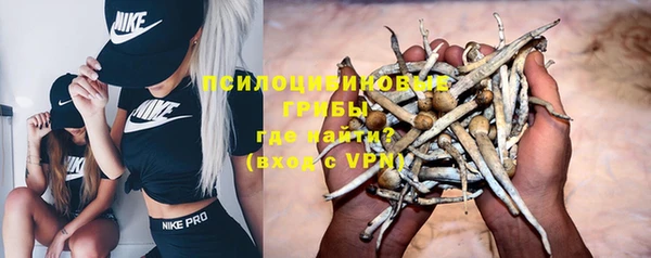 стафф Алексин