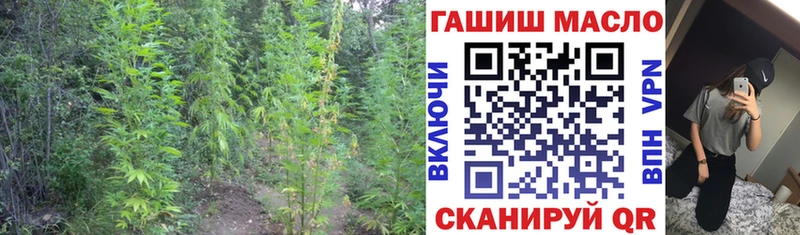 Дистиллят ТГК гашишное масло купить наркотик Раменское