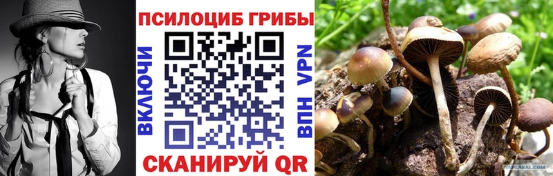 Галлюциногенные грибы Magic Shrooms как найти закладки Раменское
